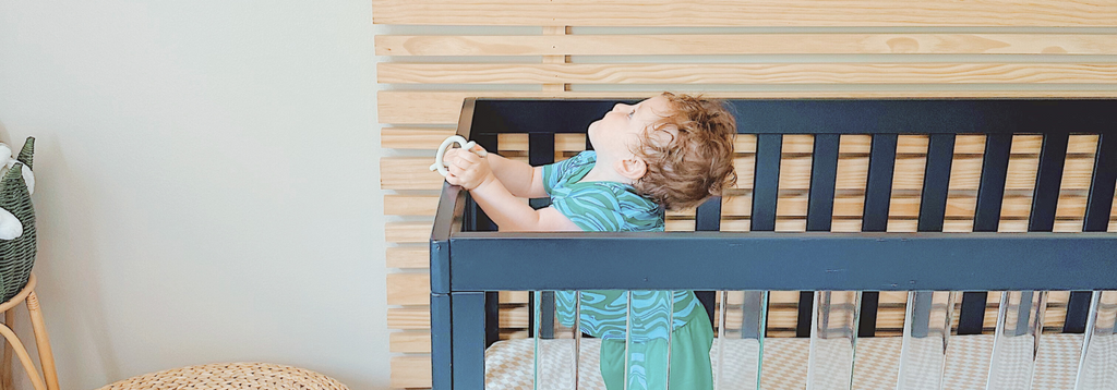zooby® baby monitor | Jordan Giraffe